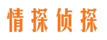 类乌齐侦探公司